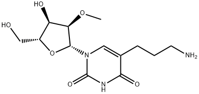 Uridine, 5-(3-aminopropyl)-2'-O-methyl- Structural