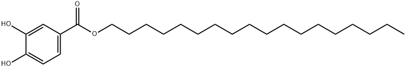 Benzoic acid, 3,4-dihydroxy-, octadecyl ester Structural