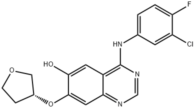 Afatinib Impurity 12