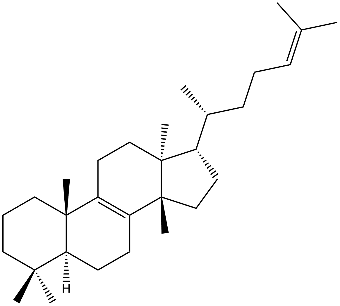 Lanosta-8,24-diene, (13α,14β,17α)- Structural