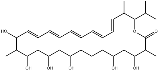 Takanawaene C Structural