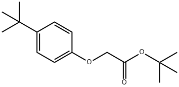 Acetic acid, 2-[4-(1,1-dimethylethyl)phenoxy]-, 1,1-dimethylethyl ester Structural