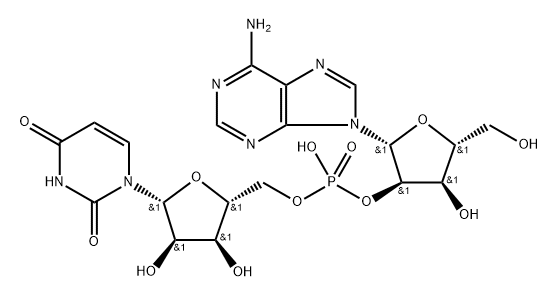 uridylyl(5'->2')adenosine  Structural