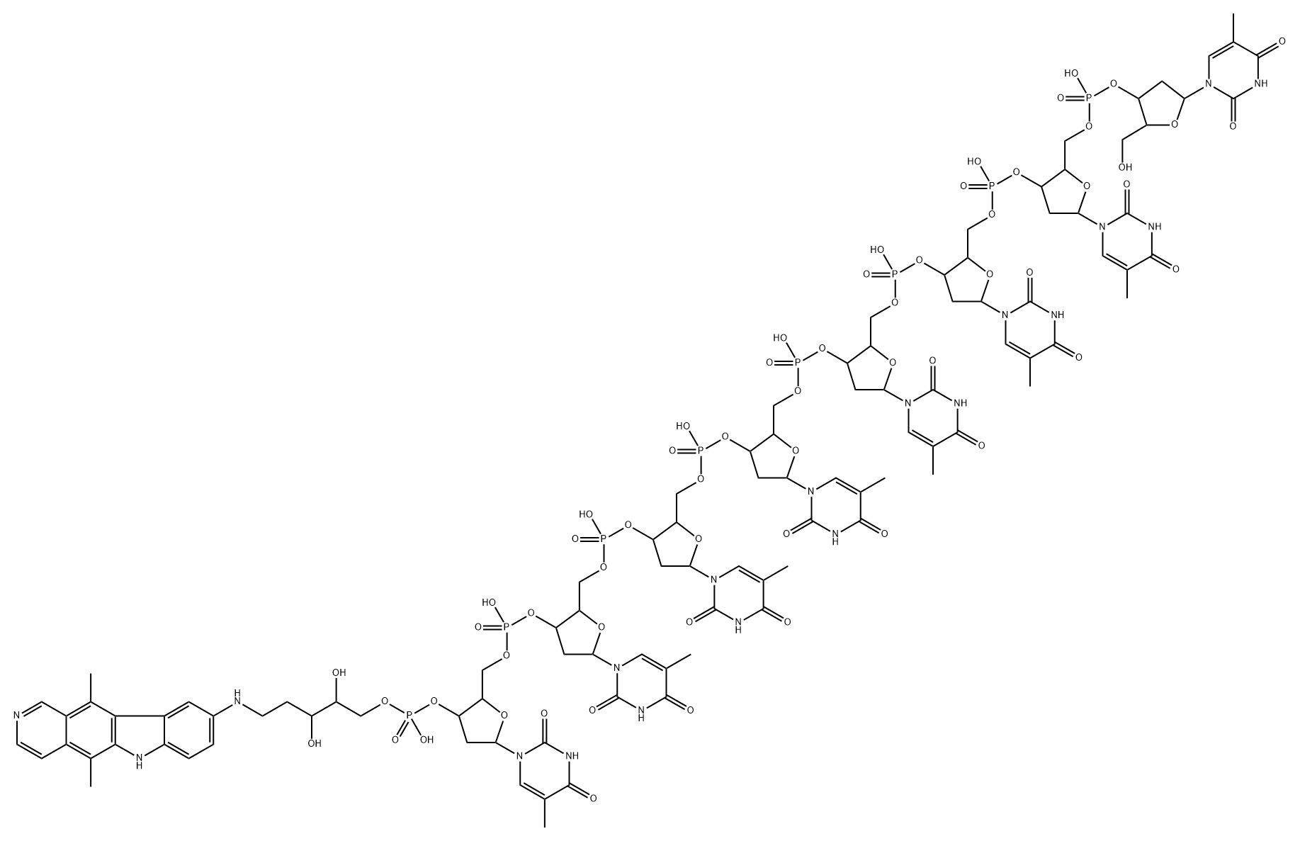 octathymidylate-9-aminoellipticine Structural