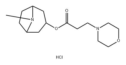 hydron (8-methyl-8-azabicyclo[3.2.1]octan-3-yl) 3-morpholin-4-ylpropanoate dichloride Structural