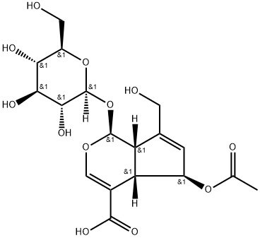 6-O-Acetylscandoside Structural