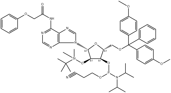 N-blocked-5'-O-DMT-2'-O-TBDMS CED adenosine phosphoramidit Structural