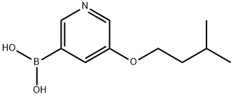 B-[5-(3-Methylbutoxy)-3-pyridinyl]boronic acid Structural