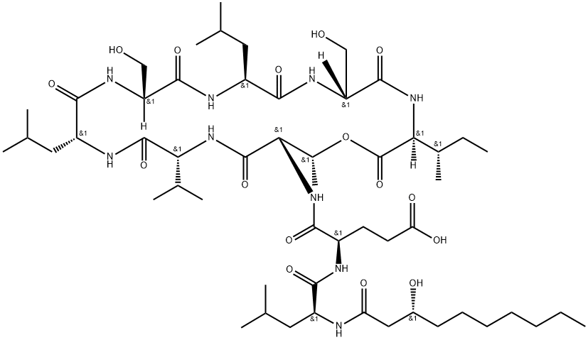 White Line Inducing Principle [WLIP] Structural