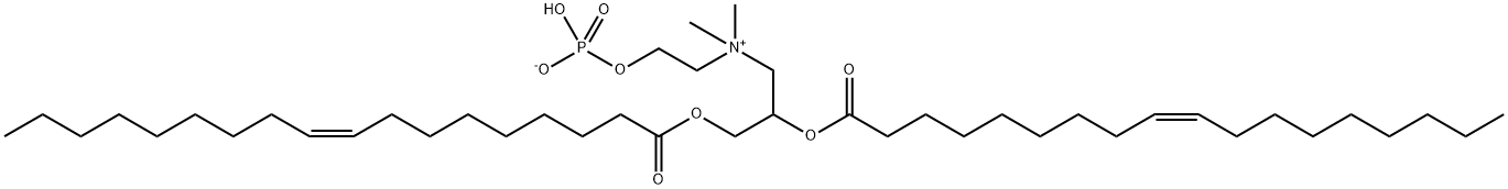 DOCP Structural