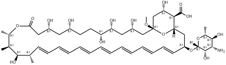 Amphotericin X1 (13-O-Methyl Amphotericin B) Structural
