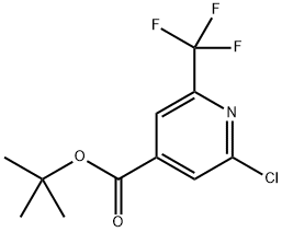 tert-butyl 2-chloro-6-(trifluoromethyl)isonicotinate