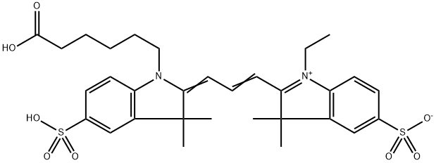 Cy3