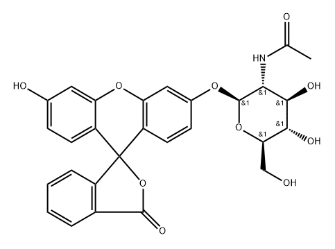 Fluorescein mono-(N-acetyl-beta-D-glucosaminide) suitable for fluorescence Structural