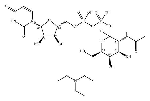 URIDINE 5'-DIPHOSPHO-N-ACETYL-D-*GALACTOSAMINE- Structural