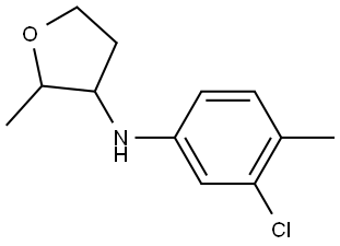 N-(3-Chloro-4-methylphenyl)-2-methyloxolan-3-amine Structural