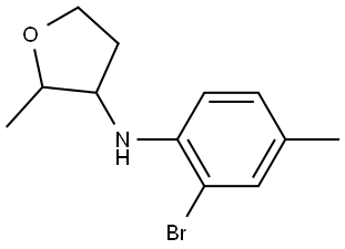 N-(2-Bromo-4-methylphenyl)-2-methyloxolan-3-amine Structural