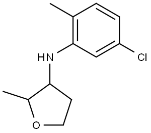N-(5-Chloro-2-methylphenyl)-2-methyloxolan-3-amine Structural
