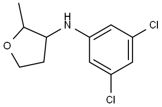 N-(3,5-Dichlorophenyl)-2-methyloxolan-3-amine Structural