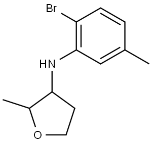 N-(2-Bromo-5-methylphenyl)-2-methyloxolan-3-amine Structural