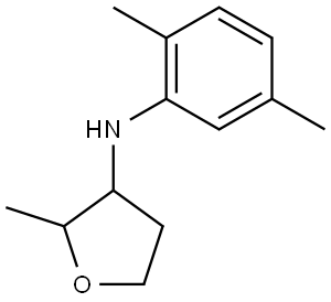 N-(2,5-Dimethylphenyl)-2-methyloxolan-3-amine Structural
