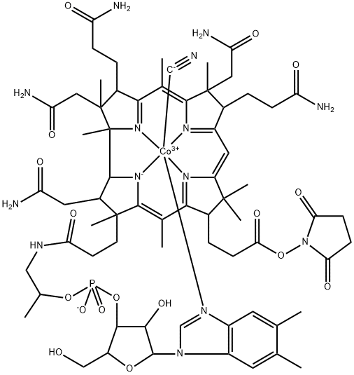 Vitamin B12 e-NHS Ester