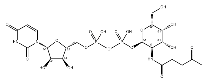 UDP-N-Lev-galactosamine Structural