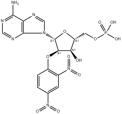 POLY[2'-O-(2,4-DINITROPHENYL)]POLY(A)* Structural