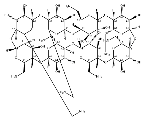 Octakis(6-amino-6-deoxy)-γ-cyclodextrin Structural