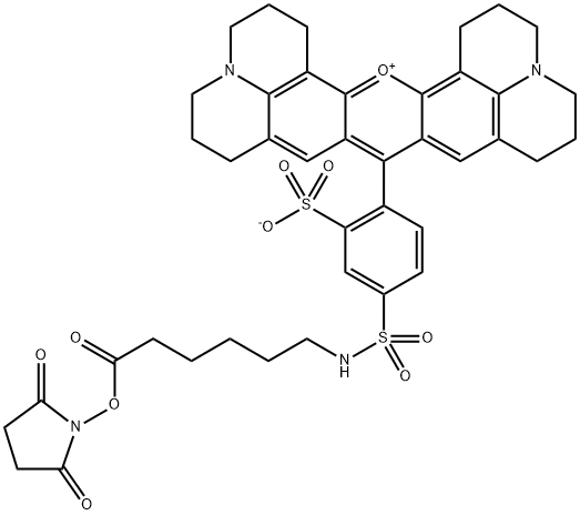 Texas Red-X succinimidyl ester Structural