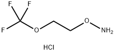 O-[2-(trifluoromethoxy)ethyl]hydroxylamine hydrochloride Structural