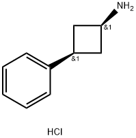 cis-3-Phenylcyclobutan-1-amine Hydrochloride