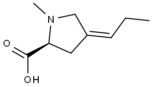 (2S,4Z)-1-Methyl-4-propylidenepyrrolidine-2-carboxylic acid Structural