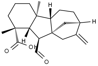 gibberellin A12 aldehyde Structural