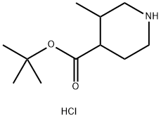 tert-butyl 3-methylpiperidine-4-carboxylate hydrochloride Structural