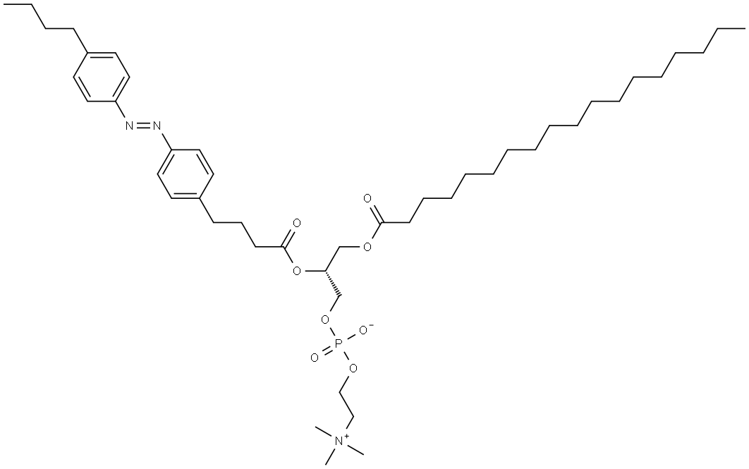 INDEX NAME NOT YET ASSIGNED Structural