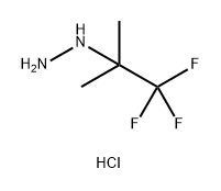 Hydrazine, (2,2,2-trifluoro-1,1-dimethylethyl)-, hydrochloride (1:1) Structural