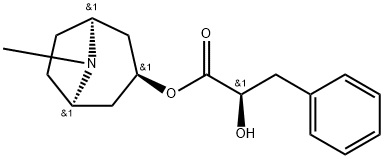 littorine Structural