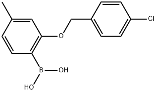 B-[2-[(4-Chlorophenyl)methoxy]-4-methylphenyl]boronic acid Structural