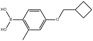 B-[4-(Cyclobutylmethoxy)-2-methylphenyl]boronic acid Structural
