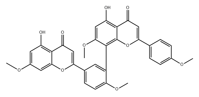 W13 Structural