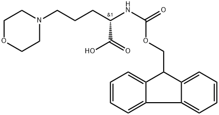 4-Morpholinepentanoic acid, α-[[(9H-fluoren-9-ylmethoxy)carbonyl]amino]-, (αS)- Structural