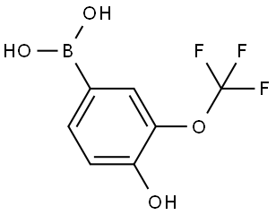Boronic acid, B-[4-hydroxy-3-(trifluoromethoxy)phenyl]- Structural