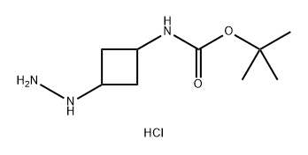 tert-Butyl (3-hydrazinylcyclobutyl)carbamate hydrochloride Structural
