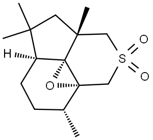 INDEX NAME NOT YET ASSIGNED Structural