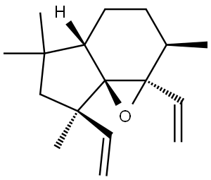INDEX NAME NOT YET ASSIGNED Structural