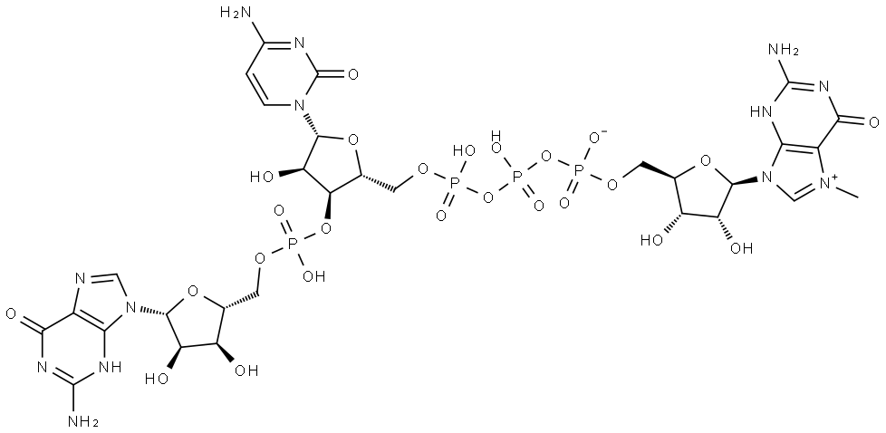 m7GpppCpG Structural