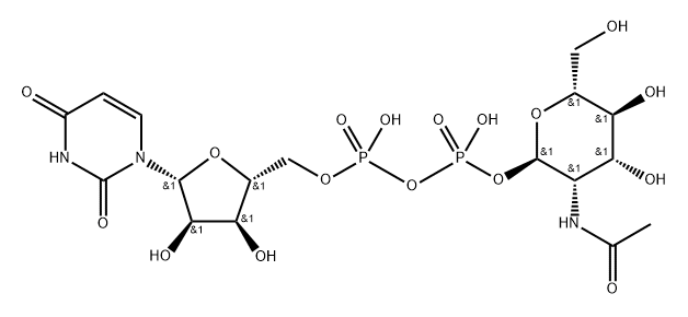 uridine diphosphate N-acetylmannosamine Structural