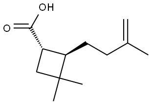 rel-(1R,2S)-3,3-Dimethyl-2-(3-methyl-3-buten-1-yl)cyclobutanecarboxylic acid Structural