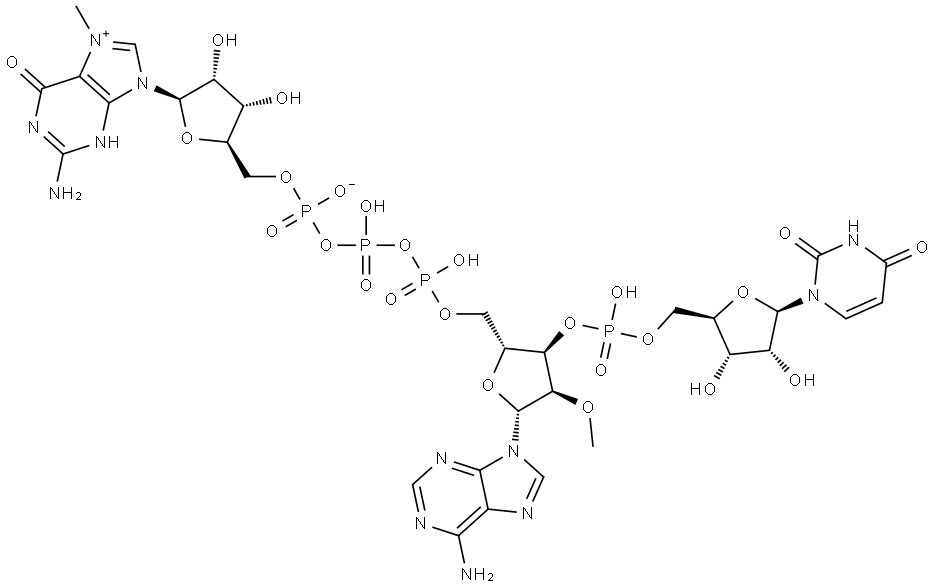 Uridine, 7-methylguanylyloxyphosphinicooxyphosphinico-(5′→5′)-2′-O-methyladenylyl-(3′→5′)-, inner salt Structural